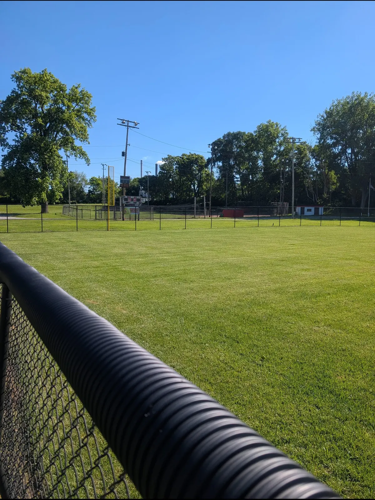 Outfield turf along the fence line after maintenance, serving Columbus, OH