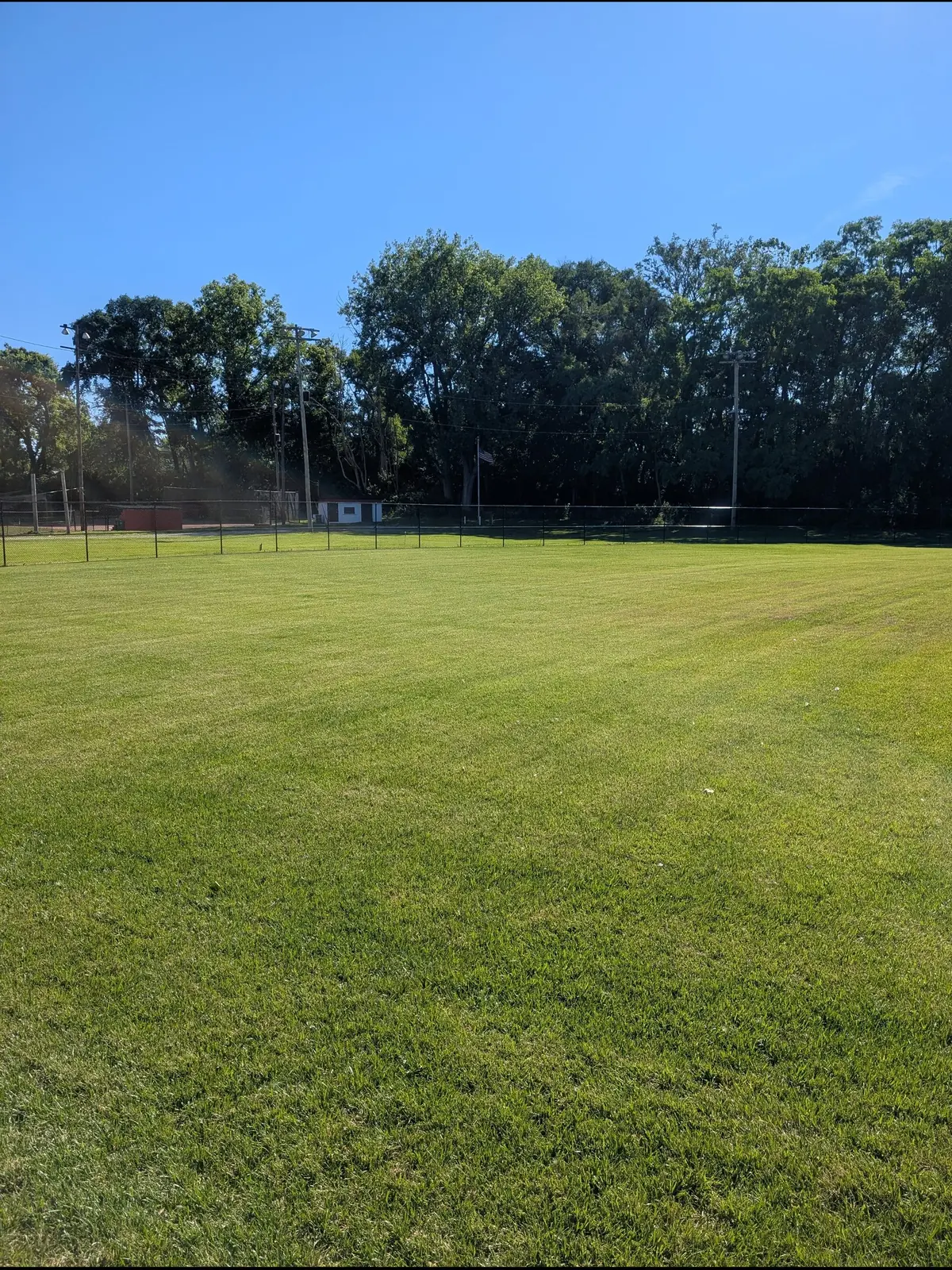Healthy outfield turf on a natural grass ball field, serving Middletown, OH